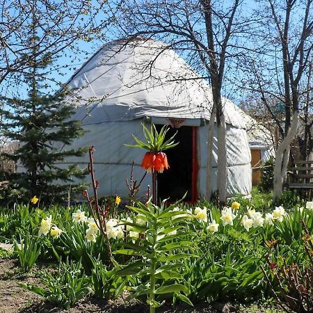 Karakol Yurt Lodge Exterior photo